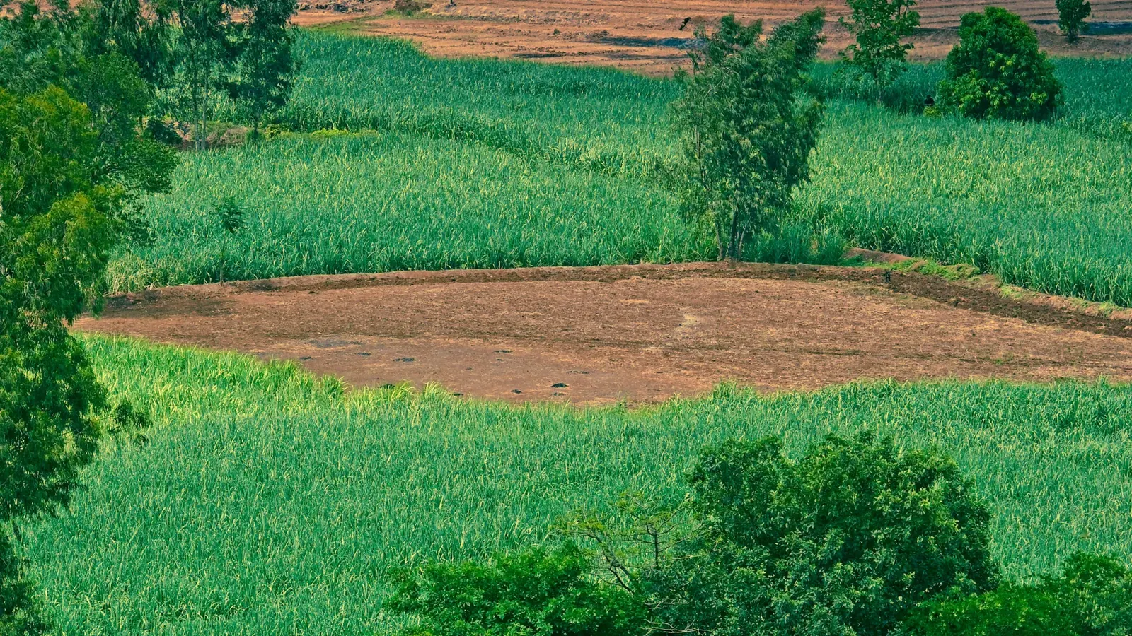 Big Land Parcels — view 1