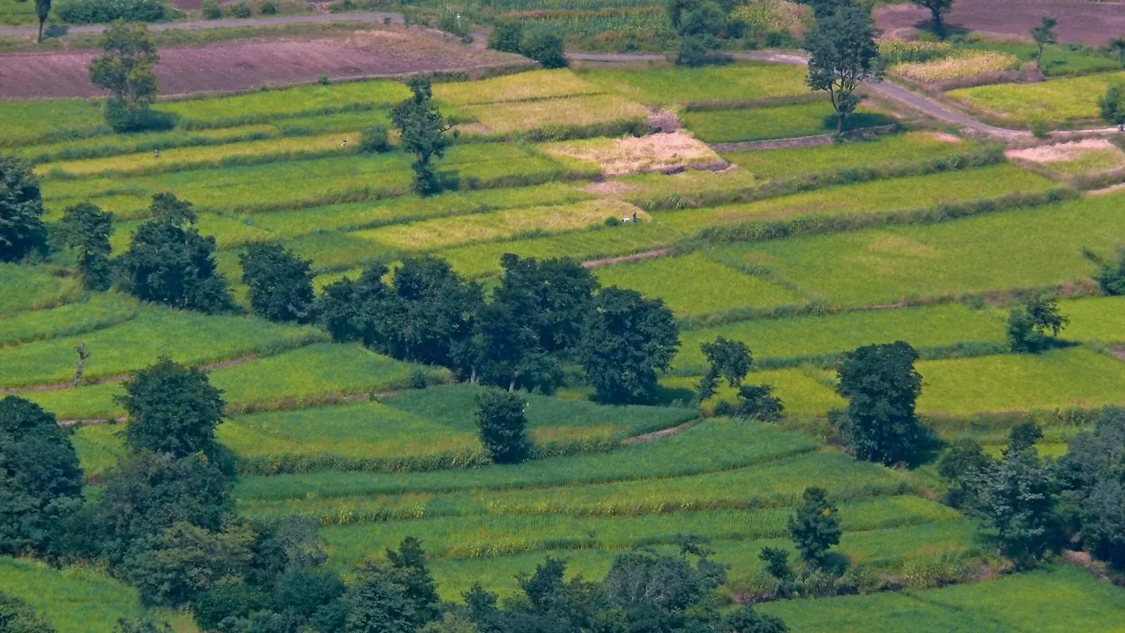 Big Land Parcels — view 2