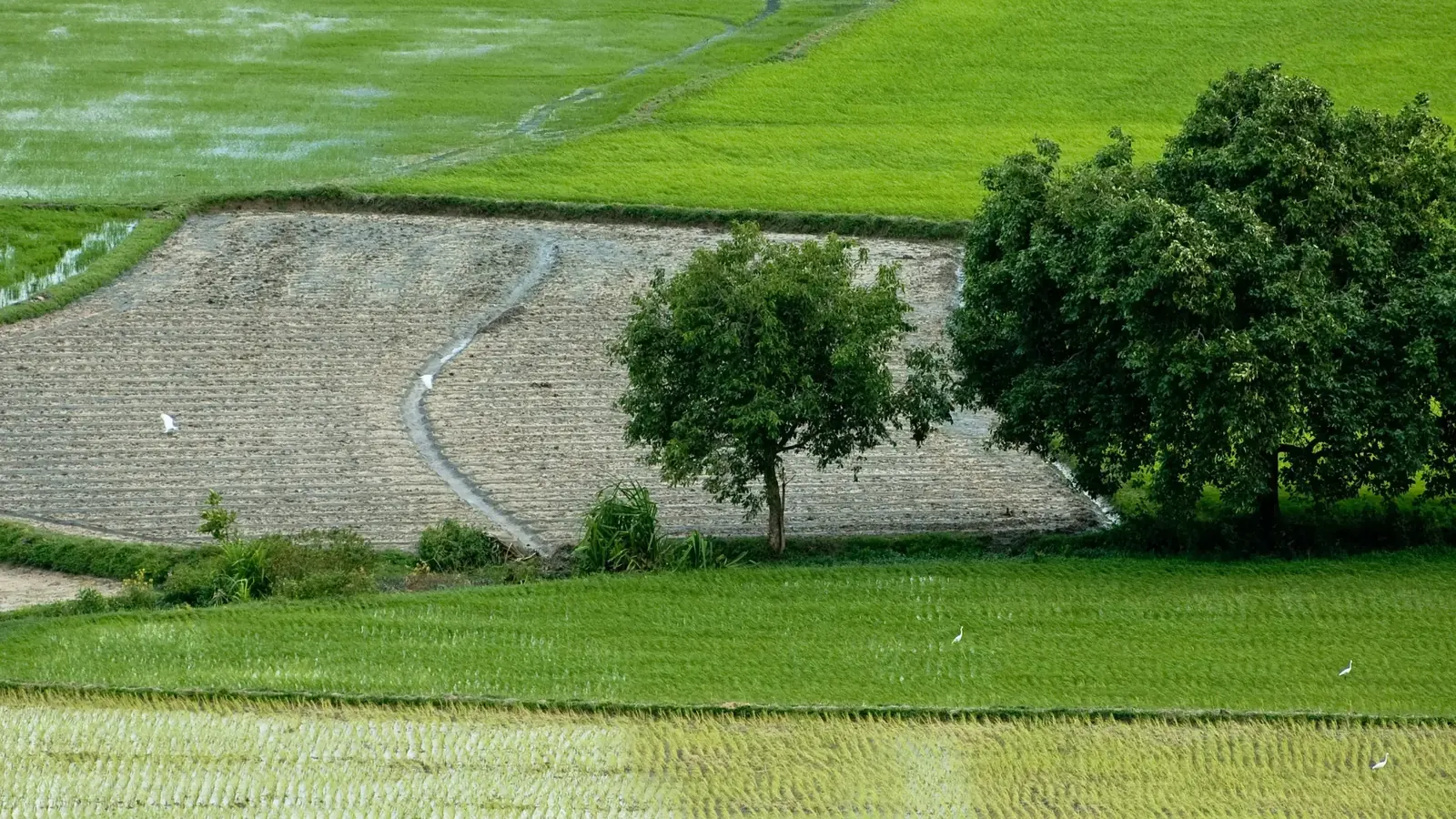 Big Land Parcels — view 3