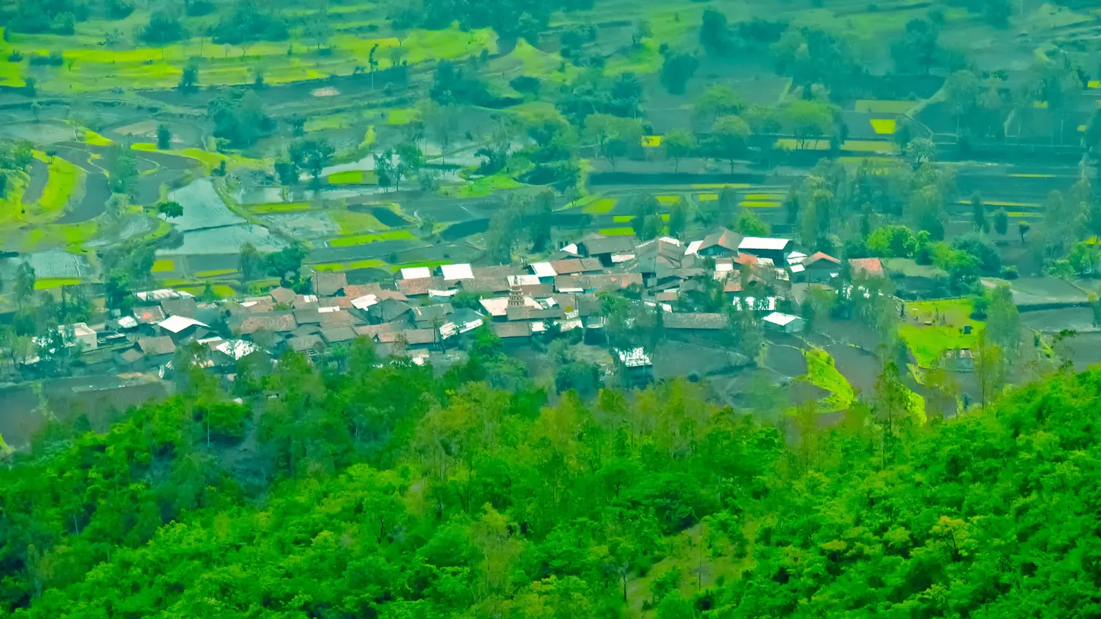 Big Land Parcels — view 4