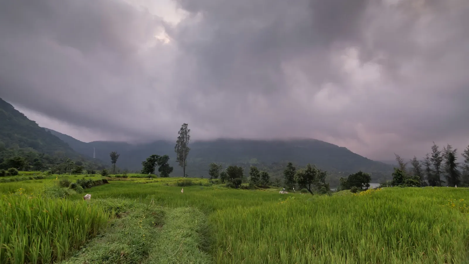 NA Tourist Land — view 1