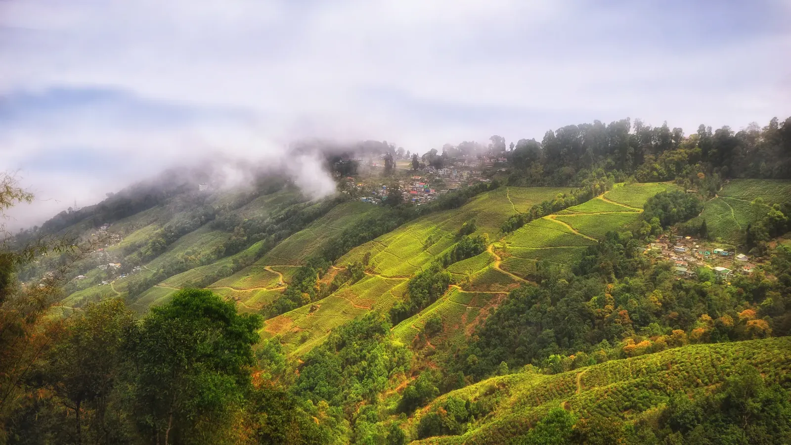 NA Tourist Land — view 2