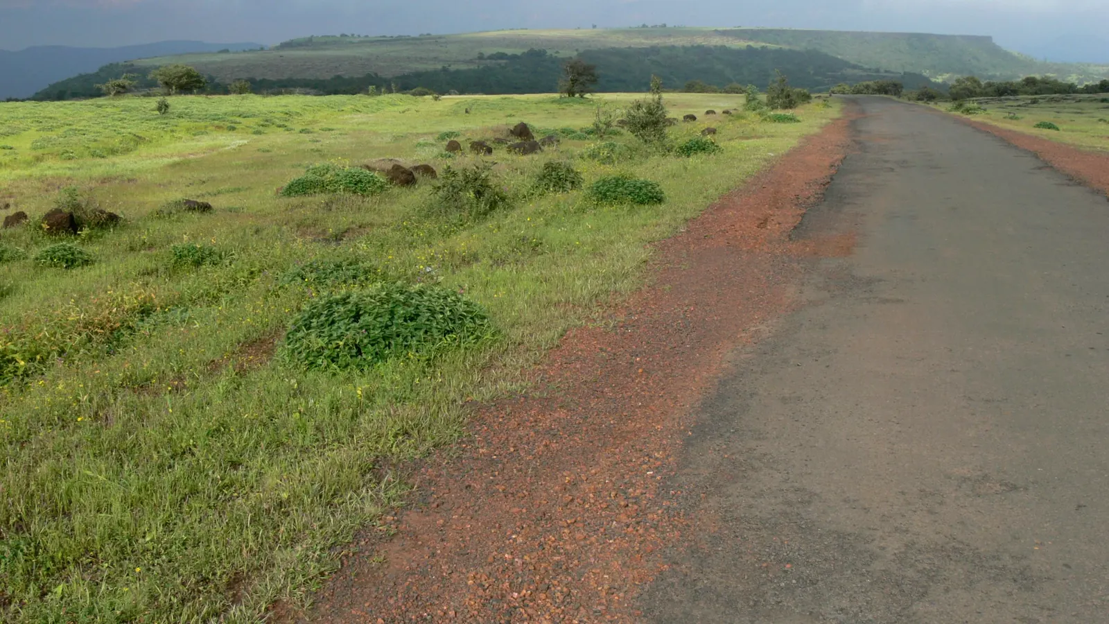NA Tourist Land — view 3