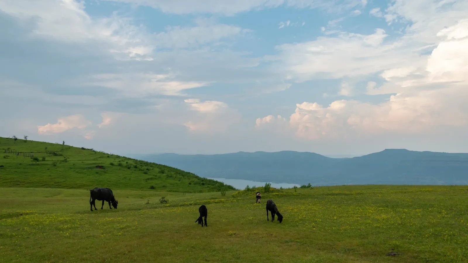 NA Tourist Land — view 4