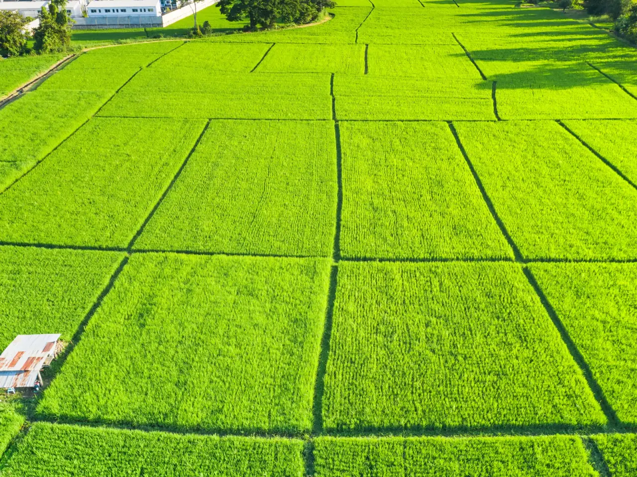 Land Services